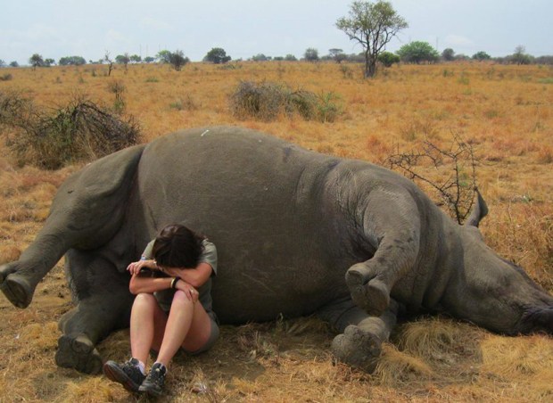 Taken from Facebook Group ALV APU - Lynne Mac Tavish